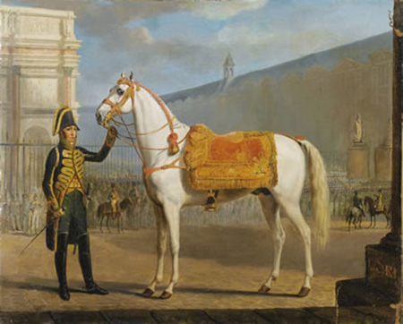 napoleon's horse